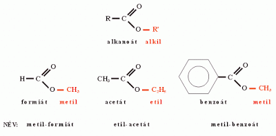 ecetsav és etil alkohol reakciója